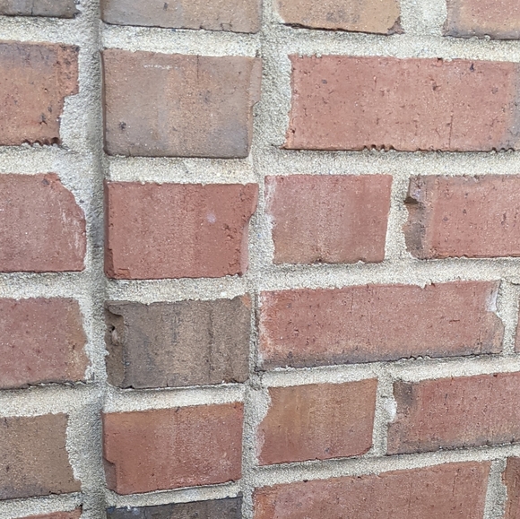 Meet your Posher, Malory - Picture 1 of 1